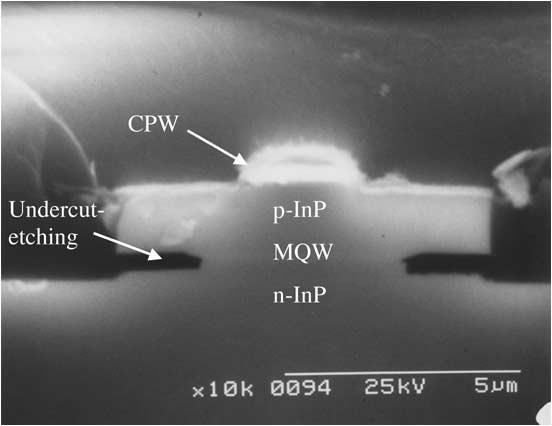 PASQUARIELLO et al.: SELECTIVE UNDERCUT ETCHING OF InGaAs AND InGaAsP QUANTUM WELLS 1473 Fig. 4. SEM cross section of a traveling-wave EAM with an undercut-etched active region. Fig. 7.