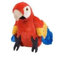 Soft Toy Parrot or Friendly Croc.