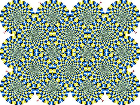 Illusions have specific sequencing and compositional requirements to facilitate illusory effect, thus, it should be easier to make informed observations on the gaze of illusions with a decent