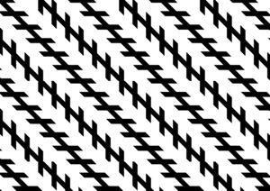 In this figure the black lines seem to be unparallel, but in reality they are parallel. The shorter lines are on an angle to the longer lines.