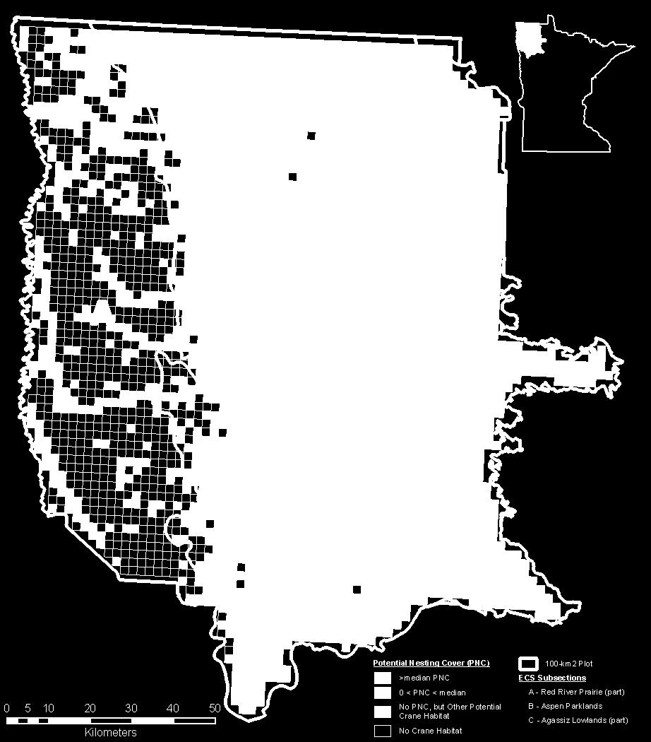 cover < median), gray = NLCD-3 (no nesting cover but other potential crane cover), white = NLCD-4 (no crane habitat).