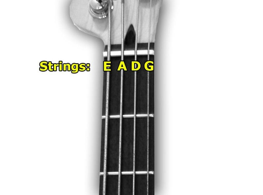 Strings Of The Bass Guitar The strings of the bass guitar are named according