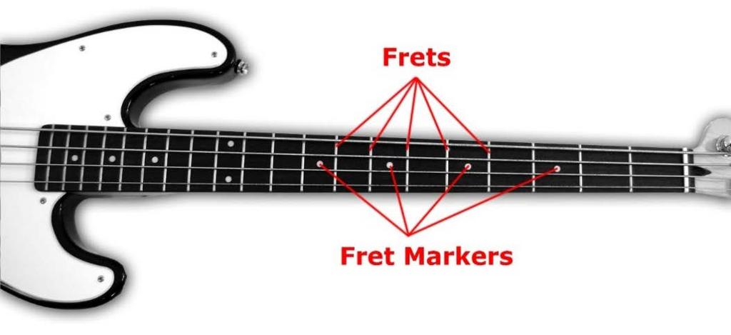 examples of the frets and fret markers found on most