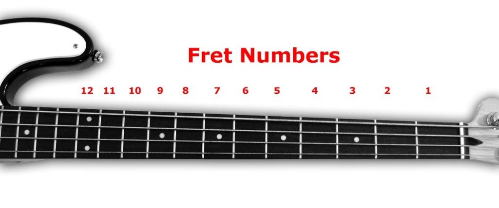The frets of the bass guitar neck are numbered in