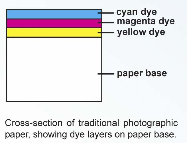 Traditional Photographic Print Chemical processing of light sensitive silver halide produces