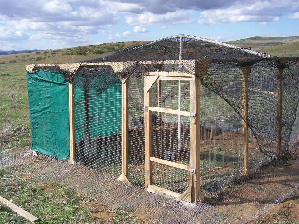 Two Hacking Enclosures constructed Enclosure 1.