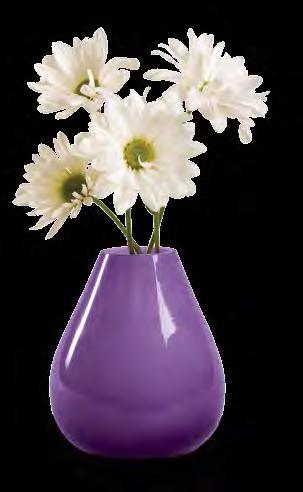 00 #5249 4911 Get BOth Just $20 Get BOth Just $20 ALL-ACCess to 14 1002 Glass Teardrop Vase Jarrón en Cristal Estilo Gota de Lagrima Attractive vase brings a classy