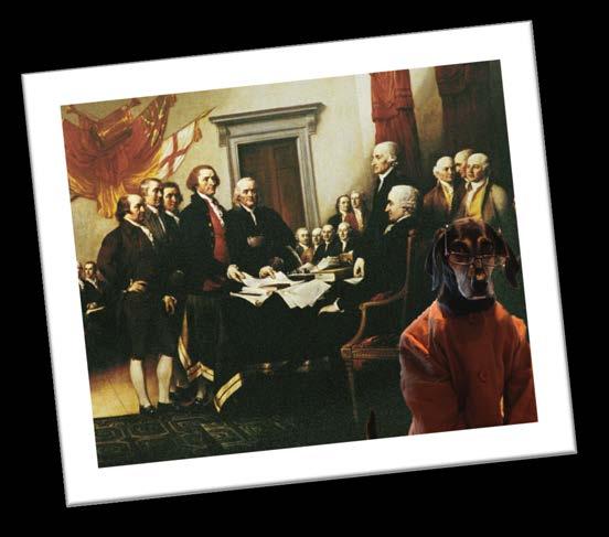 Gracie at the Signing of the Declaration of Independence Arf. When I first arrived on the scene, I was surprised to find myself dressed like a person and able to speak English.