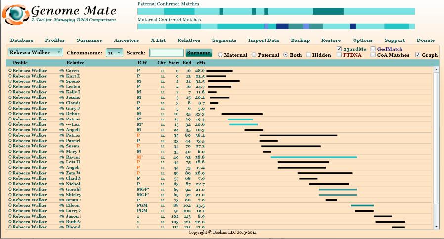 Main Page The main screen displays DNA comparisons sorted by chromosome and segment start/end points. These can be filtered by several means so that just the data of interest is displayed.