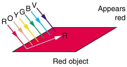 Why do we see colored objects Color seen is