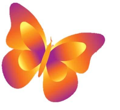 Be in the know! Why Butterflies?