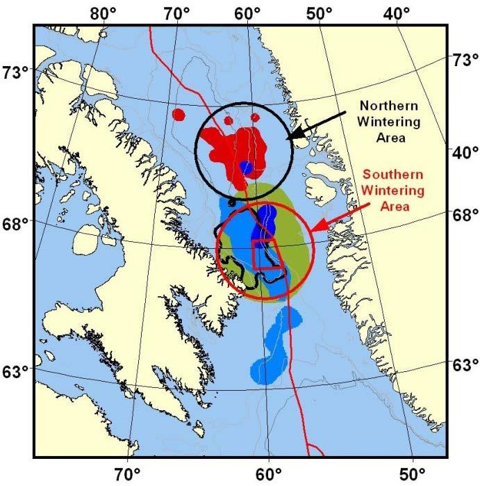 blue) summering stocks (from Dietz et al. 2008).The black and red circles identify the northern and southern narwhal over-wintering areas.