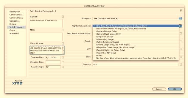 An Example of a customized File Information Template created using XMP.