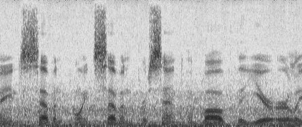 (a) original speech corrupted by -db additive white noise, (b) processed