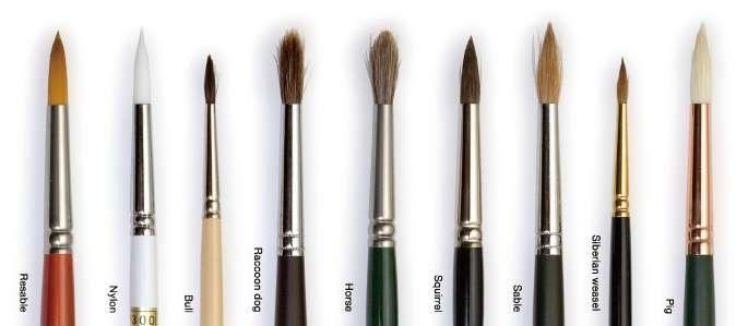 Product Info It s all about the brushes this newsletter. We all use them in just about every painting medium and even sometimes when drawing. But do you know just how diverse the humble brush can be?