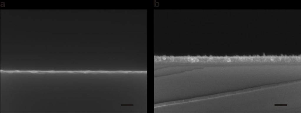 Supplementary Figure 19 SEM cross-section images of sputtered Ag and Al layer. (a) A silver layer sputtered on a silicon wafer with the sputter current of 3 ma and the duration of 250 s.