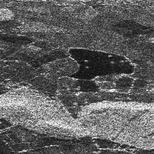 Figure 3: Detail from the simulated focused SAR image formed from Figure. The PSF returns for the specimen point targets can be extracted to illustrate the quality of the focused reconstruction.