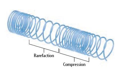4. Parts of a compression wave x.