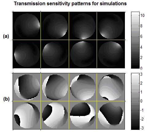 36 Figure 3.1: Magnitude(a) and phase(b) images of sensitivity patterns of 8 channel transmission coils used in simulation experiments. The unit of the phase is in radian.
