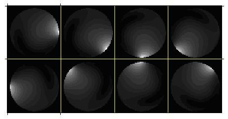 51 Figure 4.2: Magnitude images of sensitivity patterns of 8 channel transmission coils used in simulation experiments.