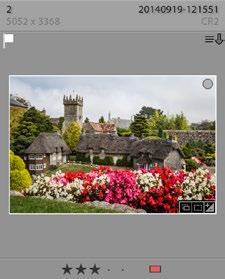 20 ADOBE LIGHTROOM CLASSIC CC - THE MISSING FAQ VIEWING YOUR PHOTOS 7 When the import finishes, the Previous Import collection is automatically selected in the Catalog panel, so let s