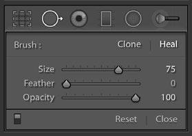 Adjust the brush size using the slider in the Options panel (Figure 72) and then click on the spot in the photo, or click and drag to remove a line or