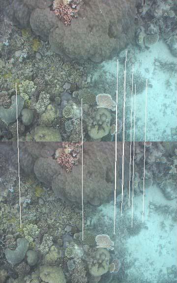 Figure 5: A pah of he underwaer vehicle was ploed using he images and sonar daa.