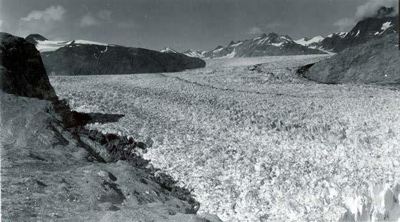 Muir glacier, August 1941
