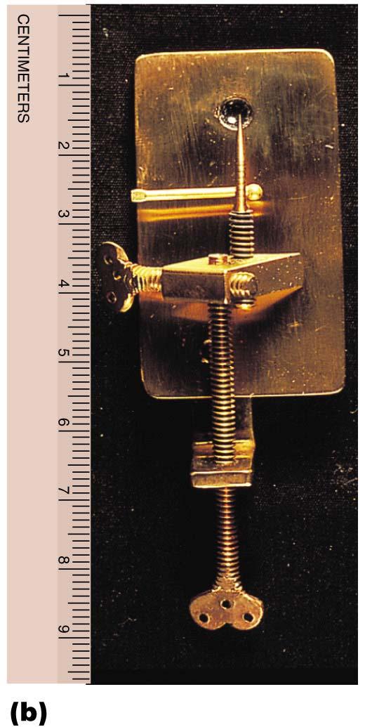 A simple microscope has only one lens Anton van Leeuwenhoek s microscopic He made observations of pond water & fabric