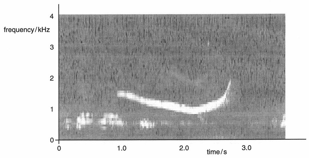 Physics in Action (Chapters 1 5) 7 A sound spectrograph, lasting about 4 s is shown below. (a) Suggest one example where this type of display could be useful.