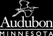 Minnesota Bird Conservation is a project of Audubon Minnesota