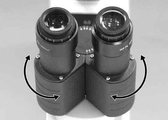 IV. Microscope Handling 1. Interpupillary Distance Adjustment Before adjusting the interpupillary distance, bring a specimen into focus using the 10x objective.