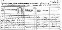 I The   1880 Persons who died in the previous twelve months Age Race