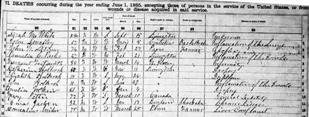 1865 New York State Census-Schedule VI Persons who died in the previous twelve months in civil life Age Race Gender Exact date of death Cause of death Occupation Marital Status Census day was 1 June;
