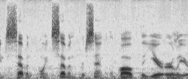 speech corrupted by -db additive white noise (c) original speech corrupted