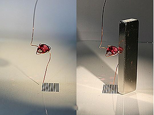 As you can see in the image at far left, we can print a series of lines on a paper to serve as a demonstration scale of how much pull the magnet will have with the garnet.
