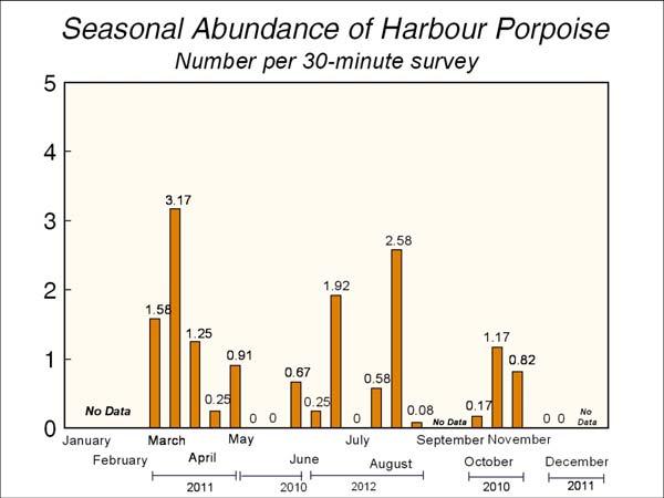 Marine Mammal and Seabird Surveys 11 Minas Passage Tidal Energy Study Site, 2012 Vessel surveys in previous years (2009-2011) did not identify significant Harbour Porpoise occurrences in July-August