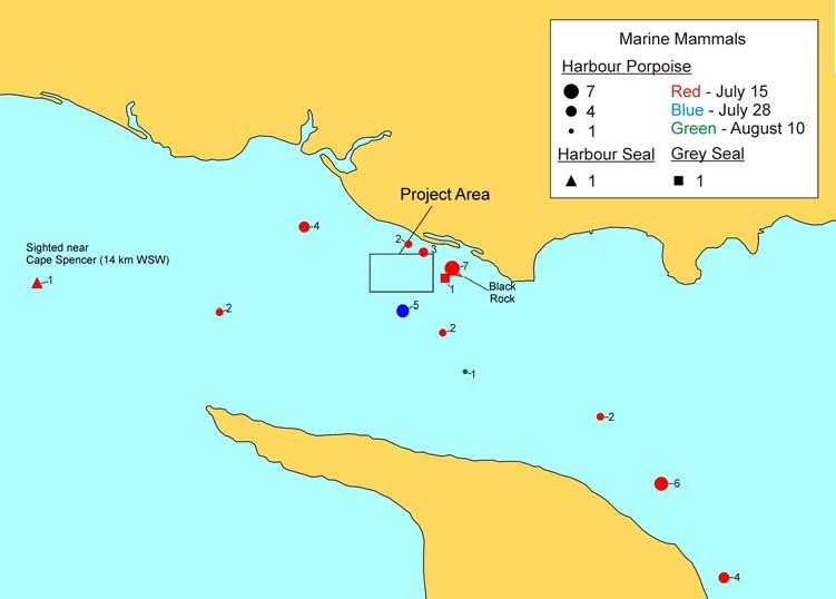 Marine Mammal and Seabird Surveys 12 Minas Passage Tidal Energy Study Site, 2012 Figure 6.