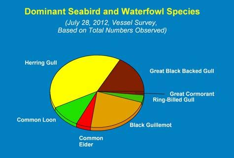 Marine Mammal and Seabird Surveys 16 Minas Passage Tidal Energy Study Site, 2012 Figure 10.