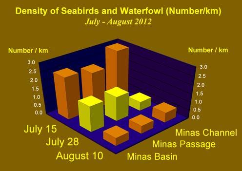 Marine Mammal and Seabird Surveys 17