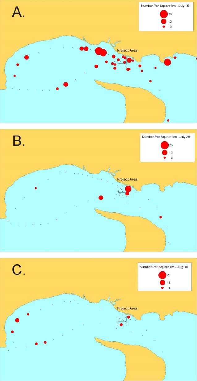 Marine Mammal and Seabird Surveys 19 Minas Passage Tidal Energy Study Site, 2012 Figure 16.
