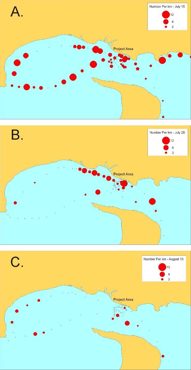 Marine Mammal and Seabird Surveys 20 Minas Passage Tidal Energy Study Site, 2012 Figure 17.