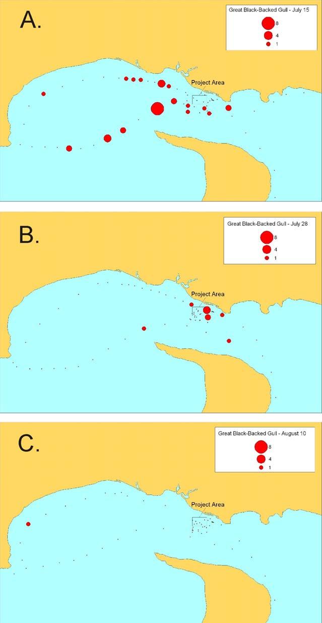 Marine Mammal and Seabird Survey 29 Minas Passage Tidal Energy Study Site, 2012 Figure 21.