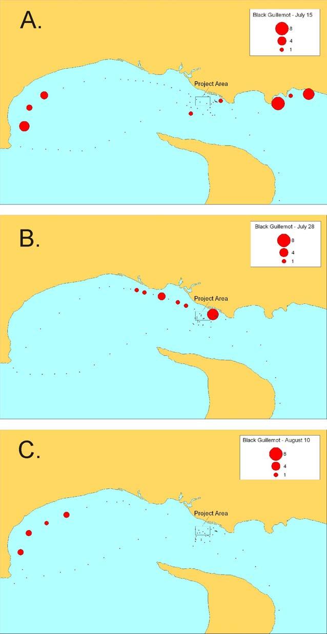 Marine Mammal and Seabird Surveys 32 Figure 24.