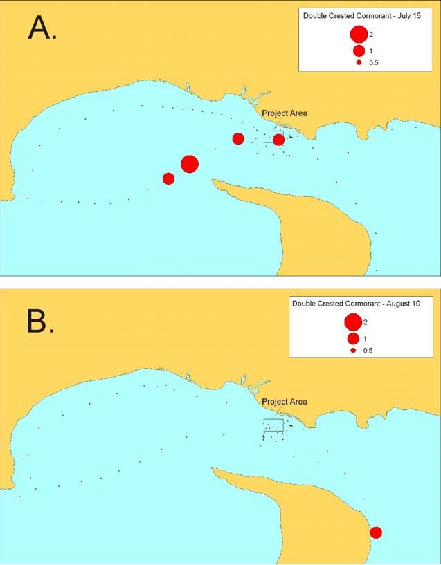 Marine Mammal and Seabird Surveys 33 Figure 25.