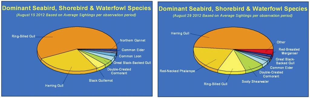 Marine Mammal and Seabird Surveys 40 Figure 29.