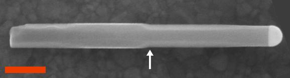 Figure 2: SEM images of the GaAs wurtzite embedded zincblende QD nanowires. The zincblende QDs are barely visible but indicated by arrows. Note the rotation of the hexagonal wurtzite after the QD.