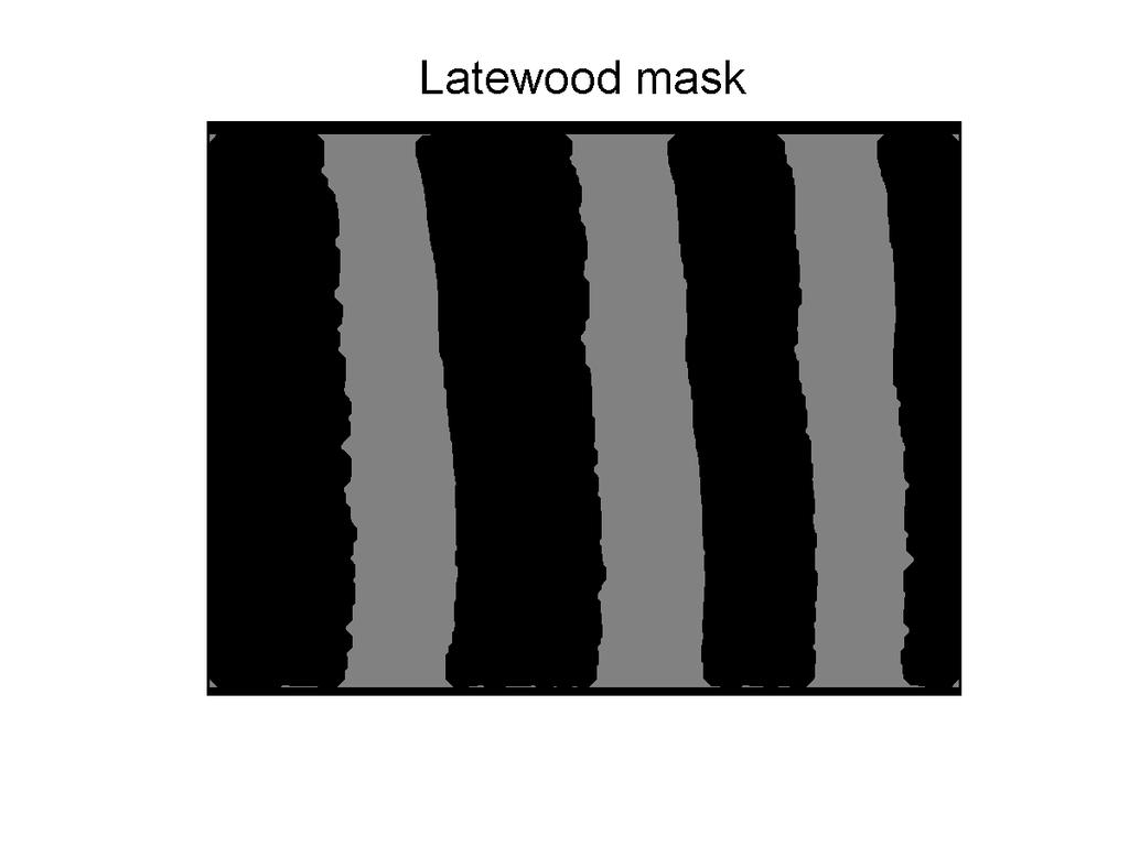 SEGMENTATION: EARLYWOOD AND LATEWOOD LAYERS X-ray micro-densitometry IMAGE PROCESSING