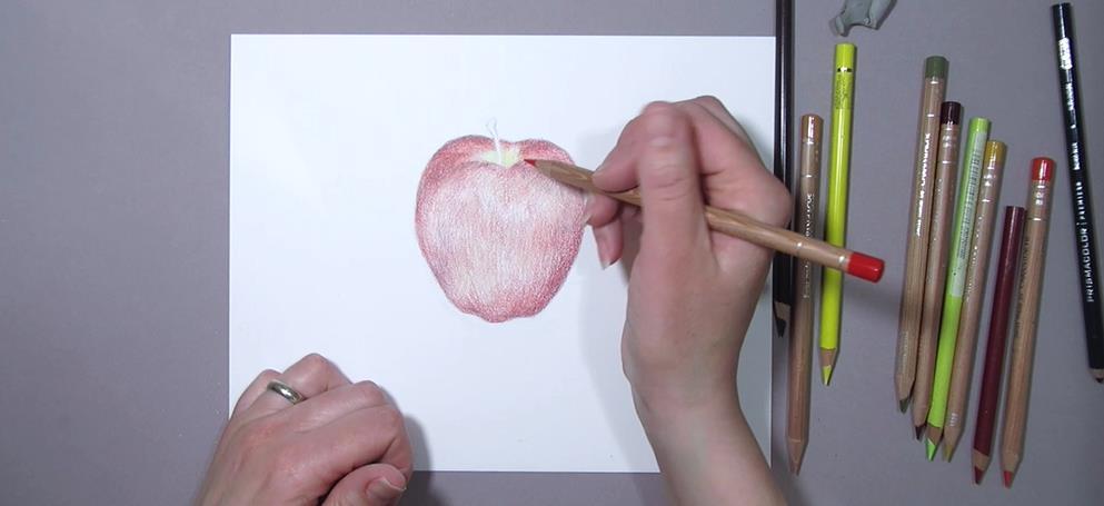 First, I ll be drawing and shading an apple to demonstrate how I combine colored pencil with fluid acrylic.