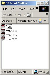The Canon will use that name for the first file then append a number, beginning with 0001, to each successive file.